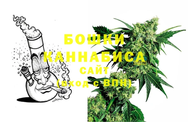 ГАЛЛЮЦИНОГЕННЫЕ ГРИБЫ Верхний Тагил