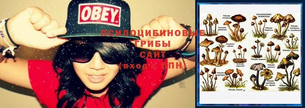 mix Верея