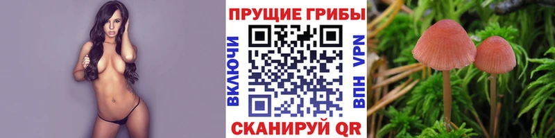 Галлюциногенные грибы GOLDEN TEACHER  купить закладку  мега сайт  shop Telegram  Надым 